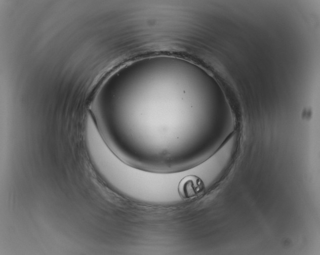 X0000113320881200909211153