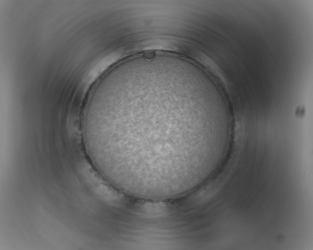 X0000113320882200909211153