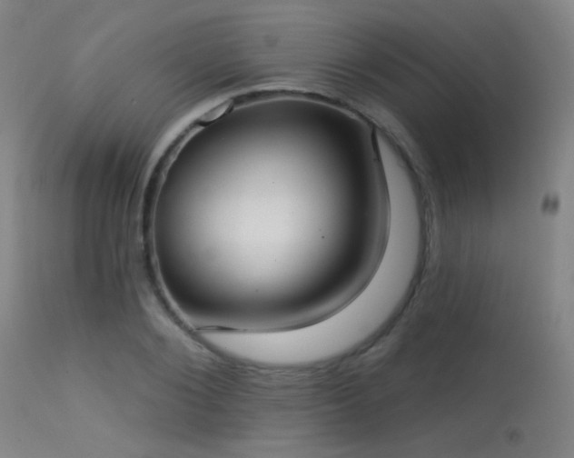 X0000113320884200909211153