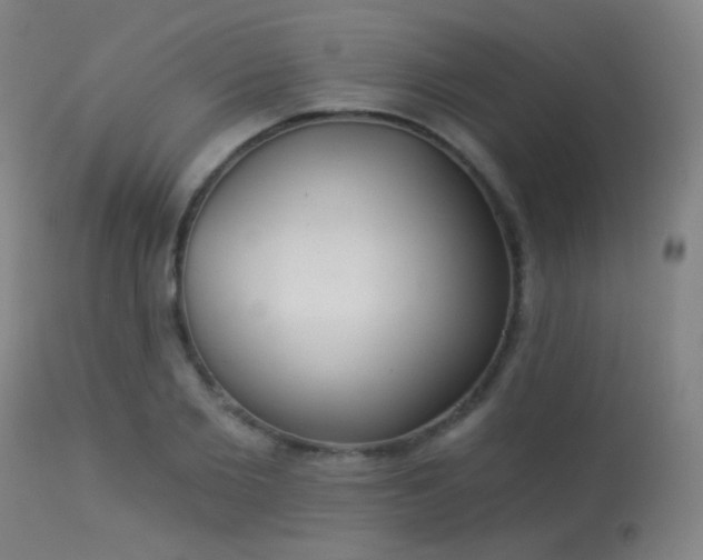 X0000113320885200909211153