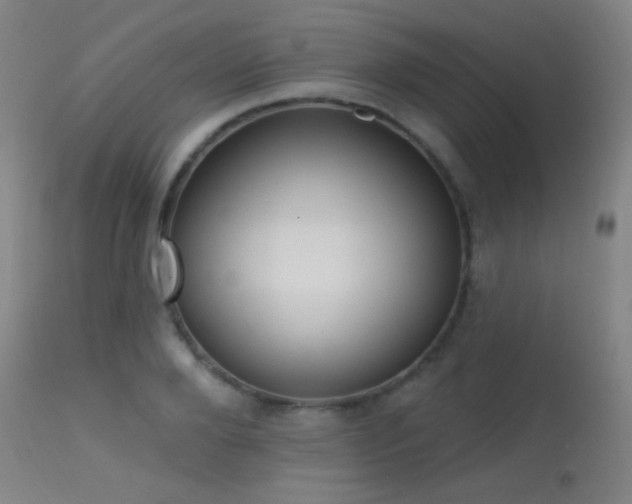 X0000113320888200909211152