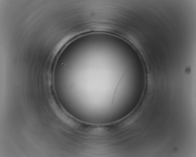 X0000113320891200909211152