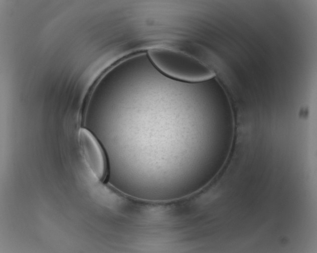 X0000113320892200909211152