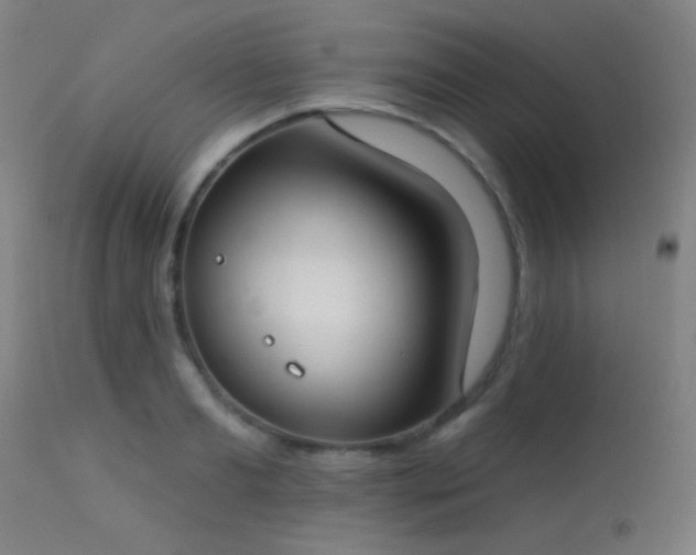 X0000113320893200909211152