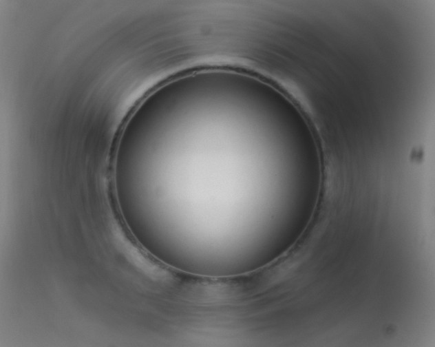 X0000113320895200909211152