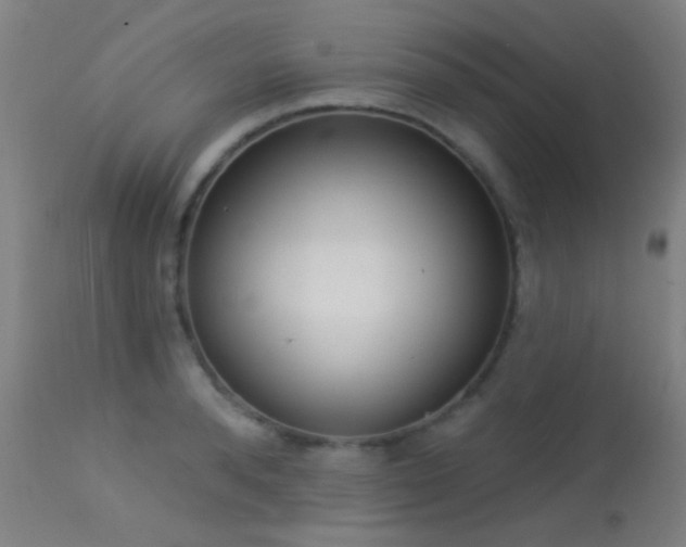 X0000113320896200909211152