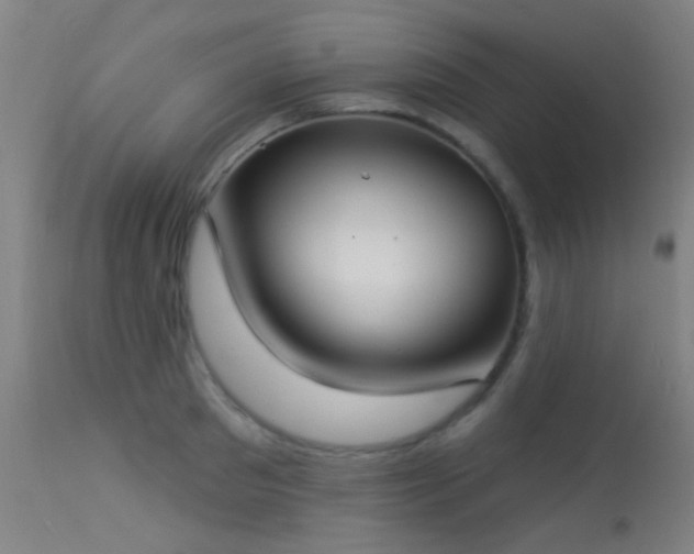 X0000113320897200909211152