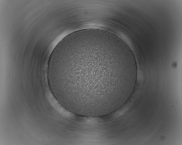 X0000113320899200909211152