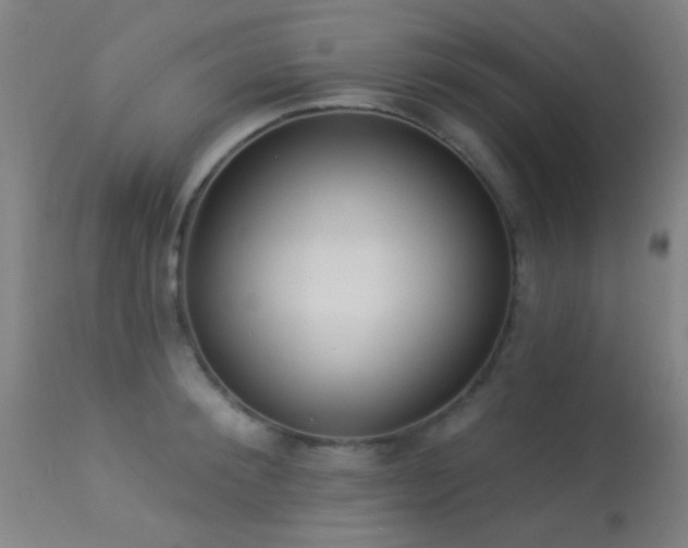 X0000113320900200909211152