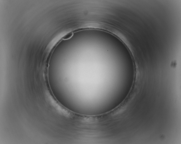 X0000113320901200909211152