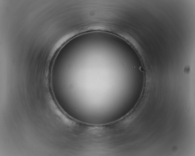 X0000113320902200909211152