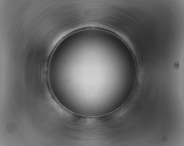 X0000113320903200909211152