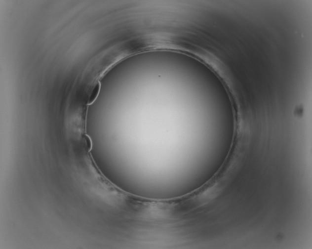 X0000113320905200909211152