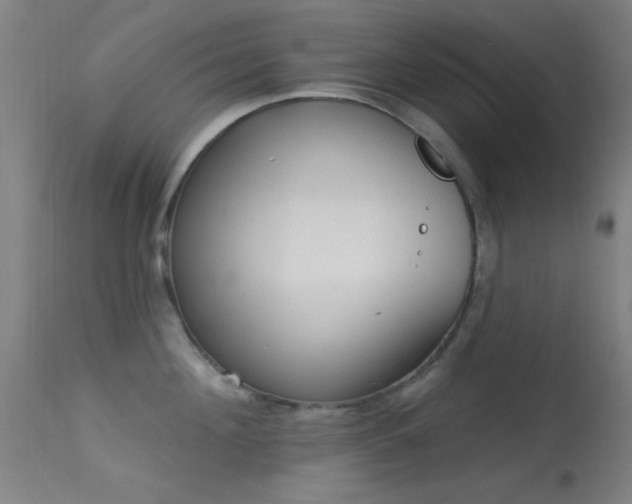 X0000113320908200909211152