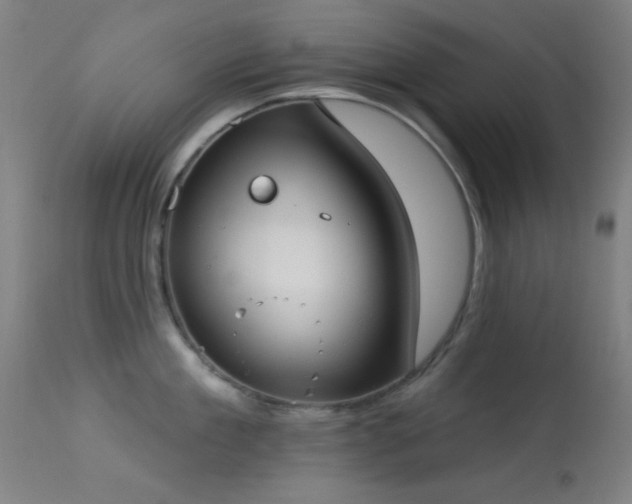 X0000113320909200909211152