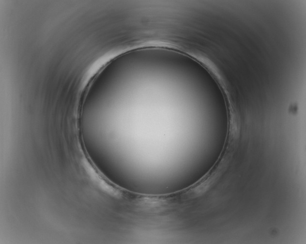 X0000113320910200909211152