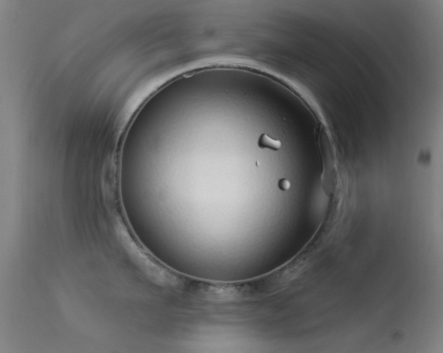 X0000113320911200909211152