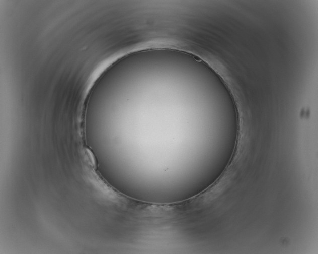 X0000113320912200909211152