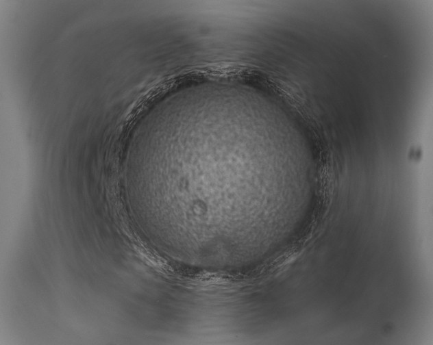 X0000113320913200909211151