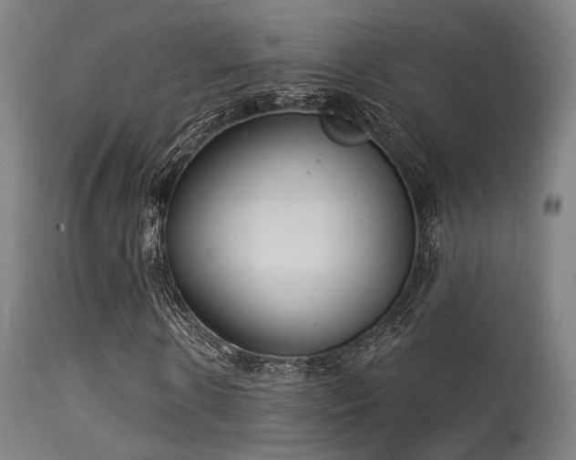 X0000113320914200909211151