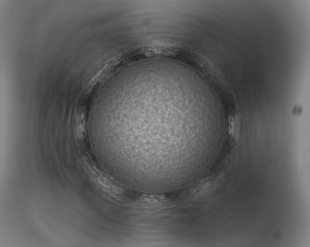 X0000113320915200909211151