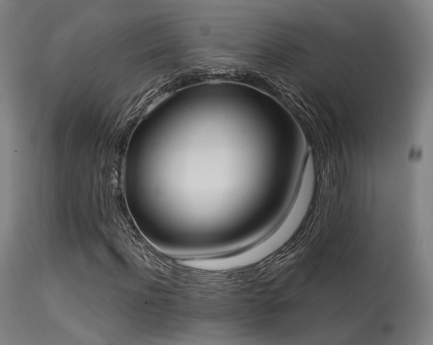 X0000113320916200909211151