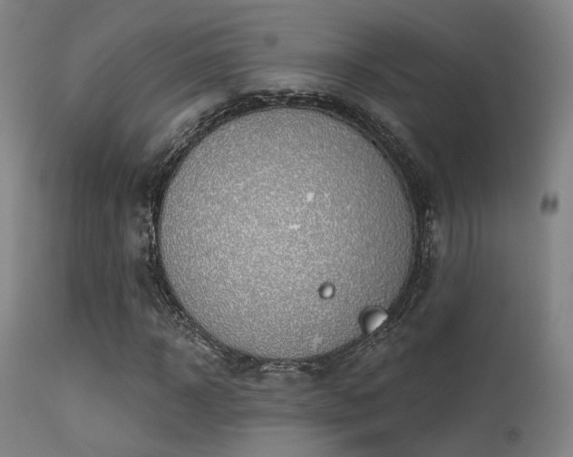 X0000113320918200909211151