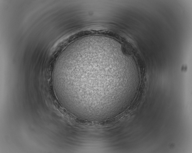 X0000113320920200909211151