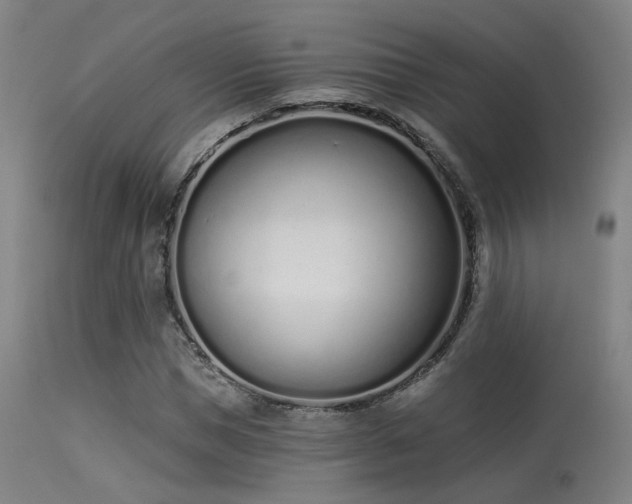 X0000113320921200909211151