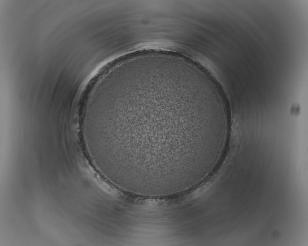 X0000113320923200909211151