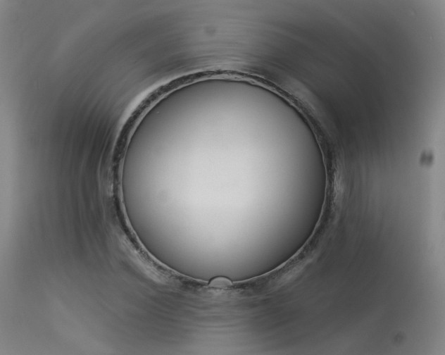 X0000113320924200909211151