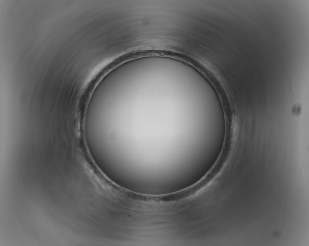 X0000113320925200909211151