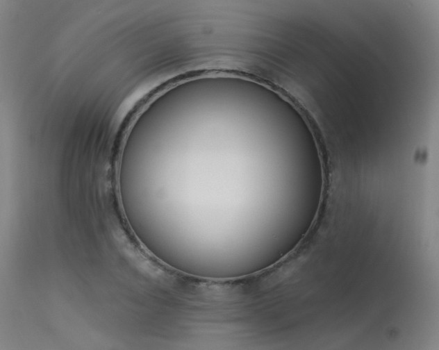 X0000113320928200909211151