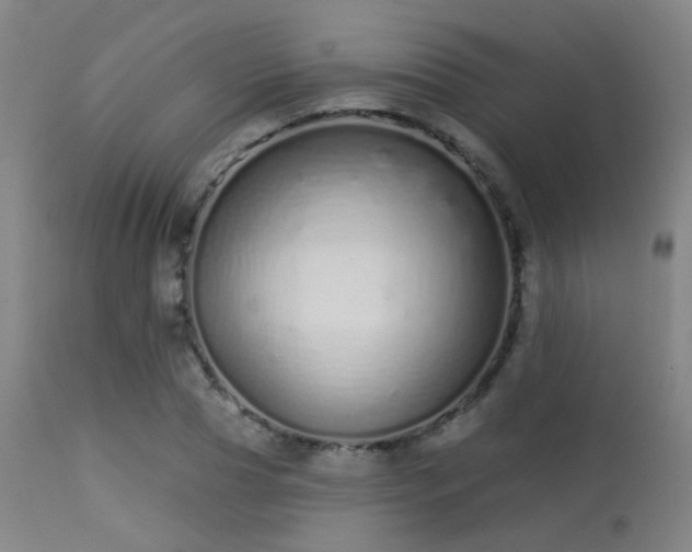 X0000113320929200909211151