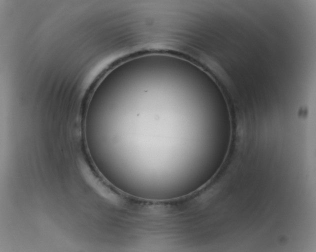 X0000113320934200909211151