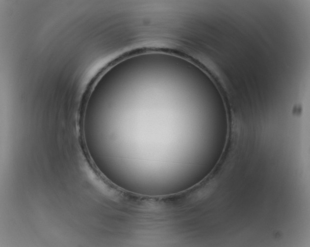 X0000113320935200909211152