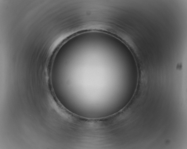 X0000113320936200909211152