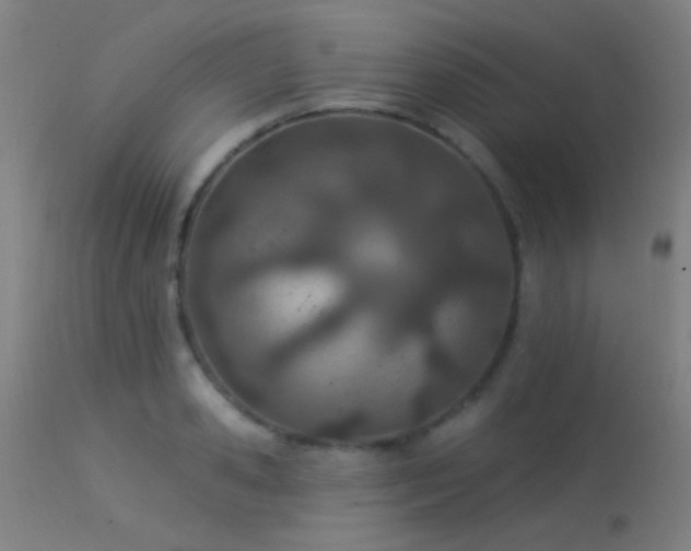 X0000113320941200909211152