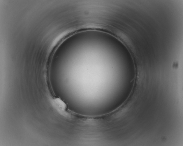 X0000113320942200909211152