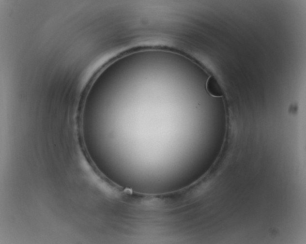 X0000113320943200909211152