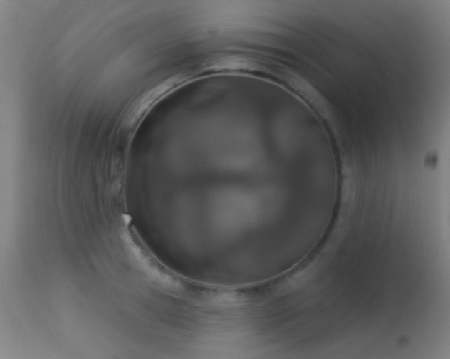 X0000113320945200909211152