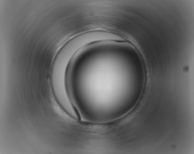 X0000113320946200909211152