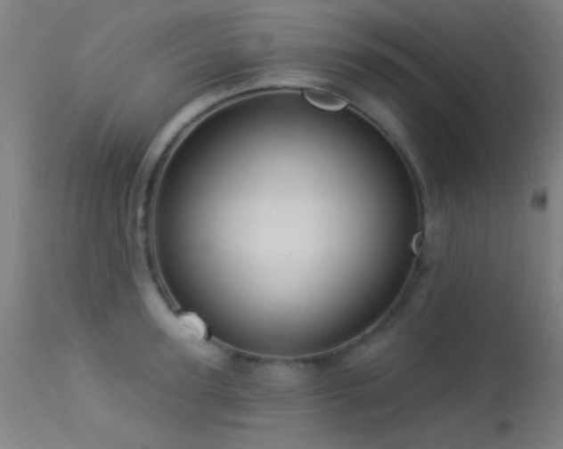 X0000113320947200909211152