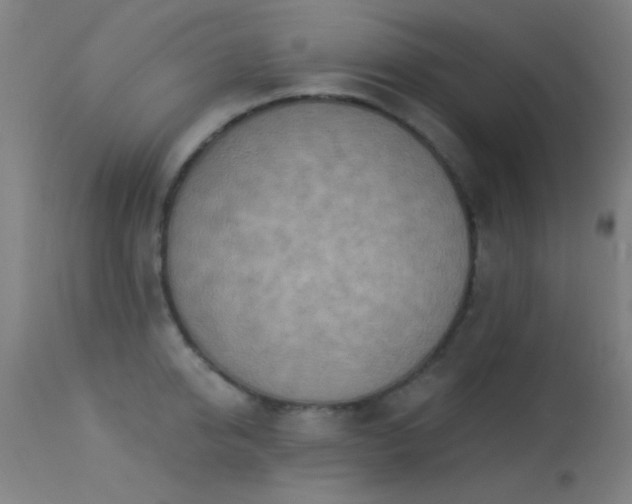 X0000113320950200909211152