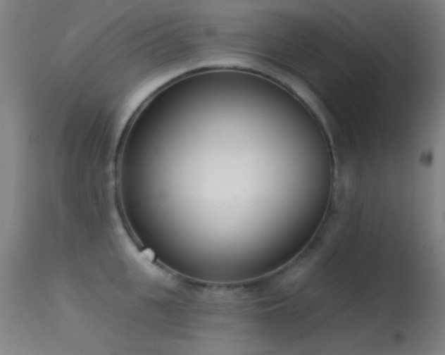 X0000113320951200909211152