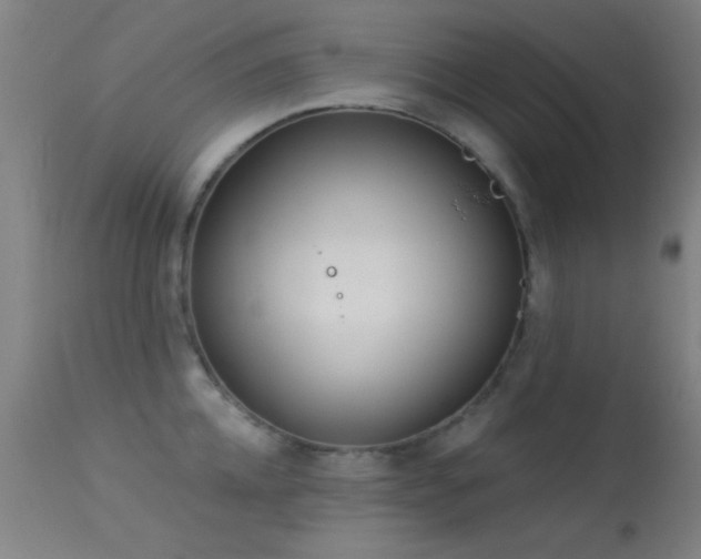 X0000113320952200909211152