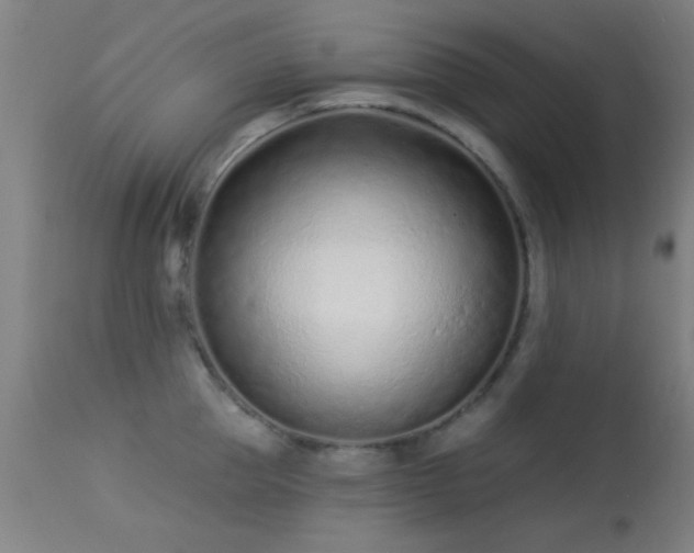 X0000113320953200909211152