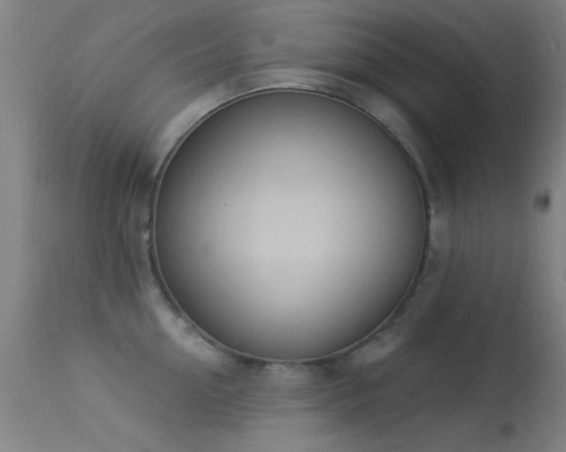 X0000113320954200909211152