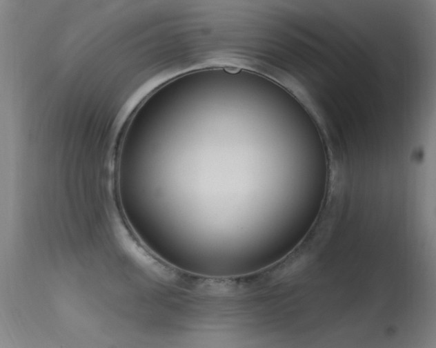 X0000113320955200909211152