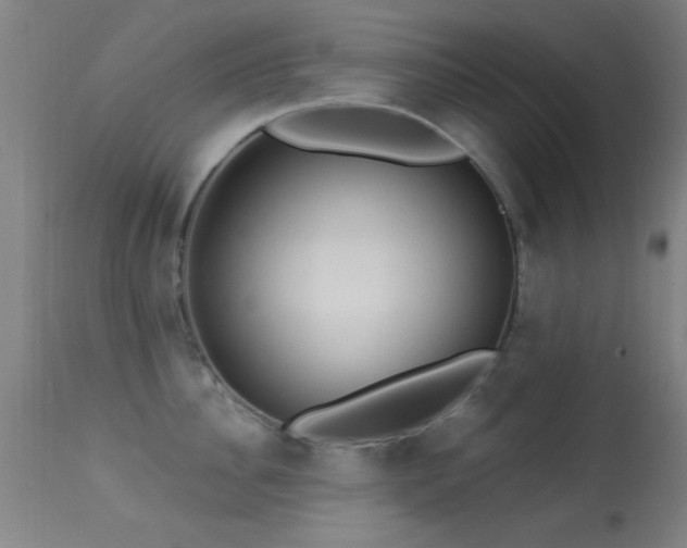 X0000113320956200909211152